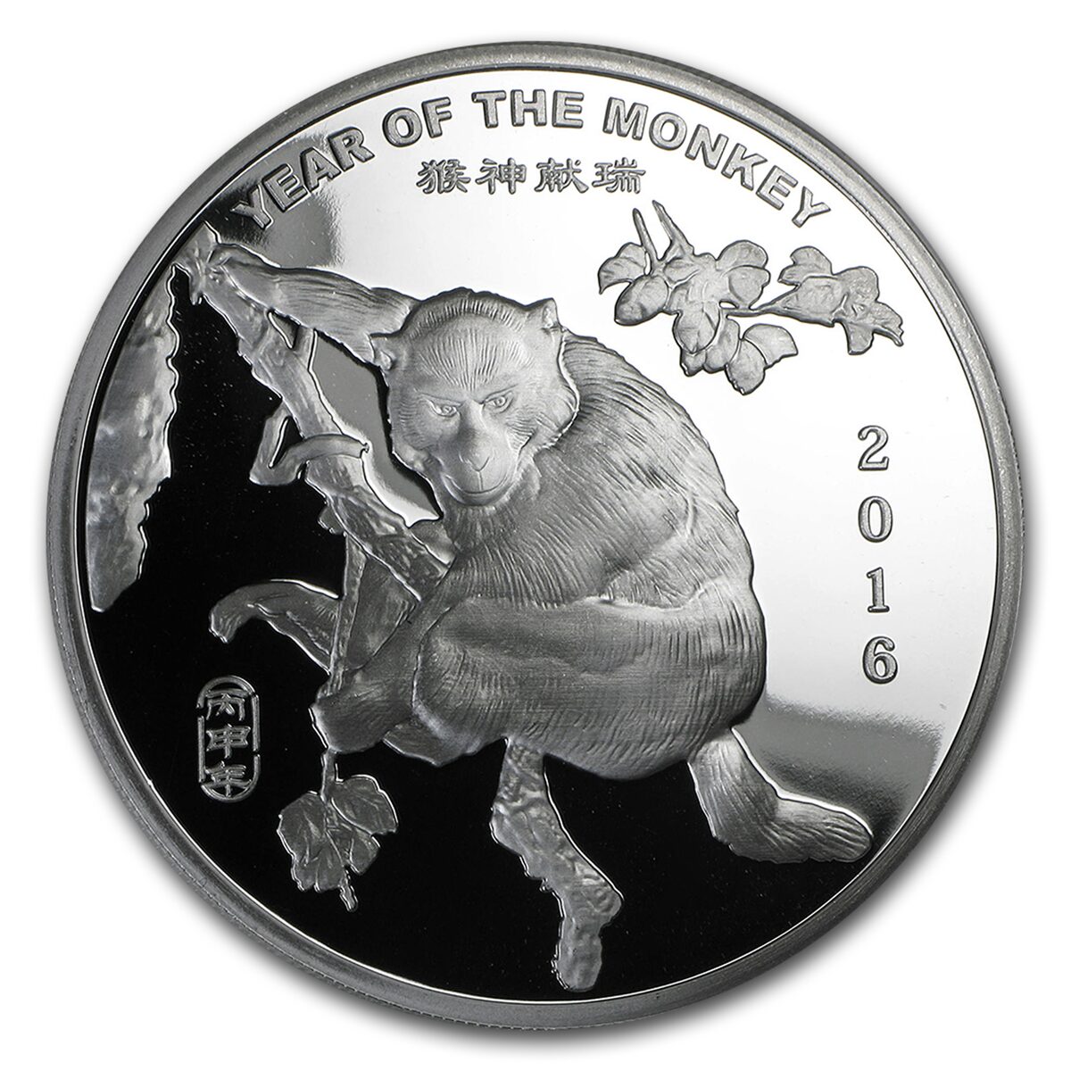 5 oz Silver Round - APMEX (2016 Year of the Monkey)