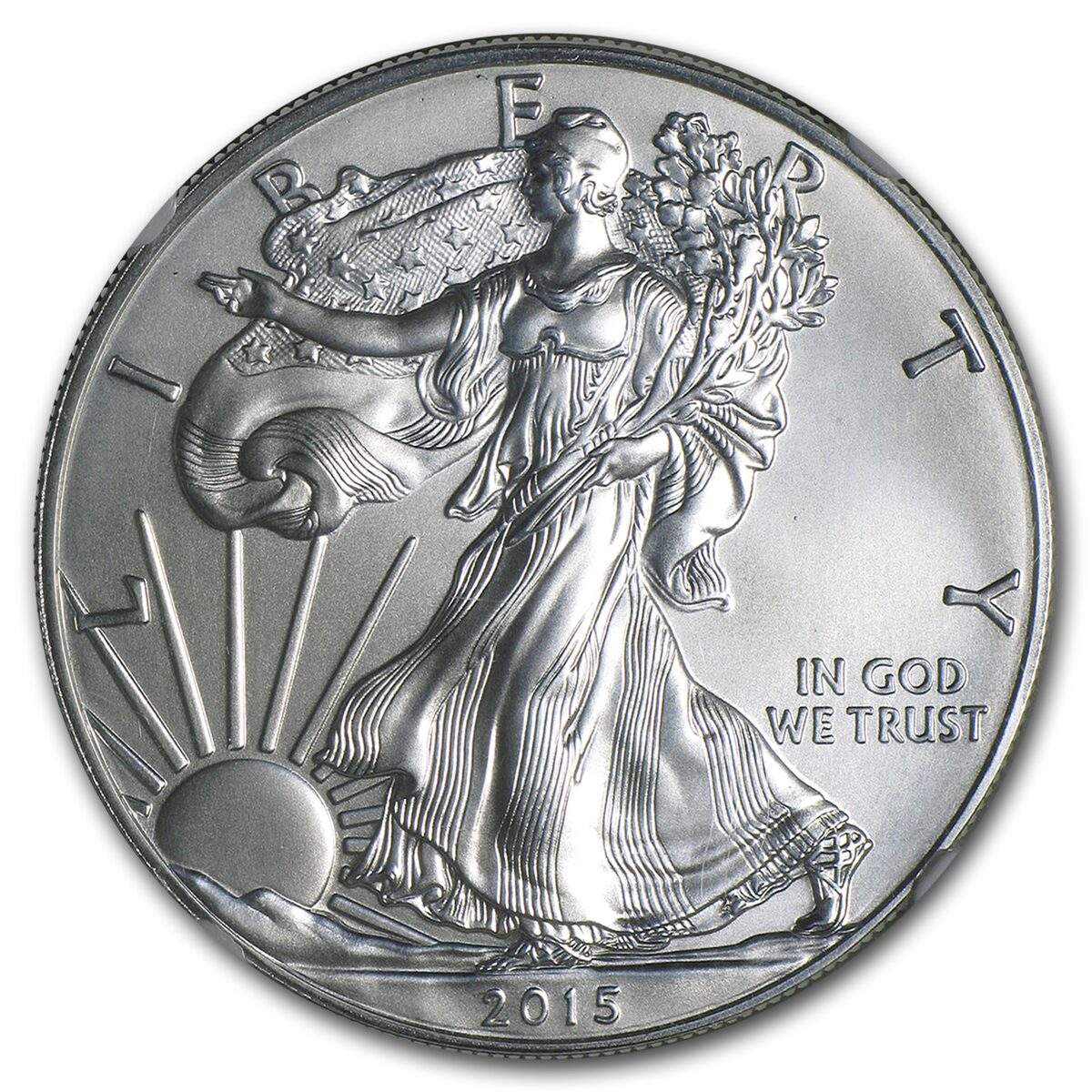 2015-W Burnished Silver Eagle MS-70 NGC