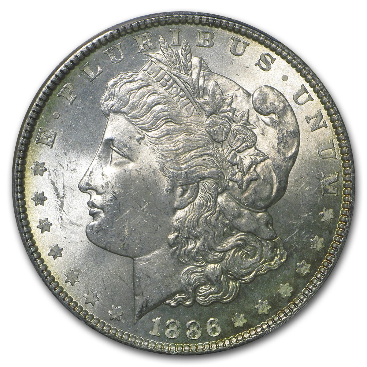 1878-1904 Morgan Dollars MS-63 PCGS (Toned, Obv/Rev)