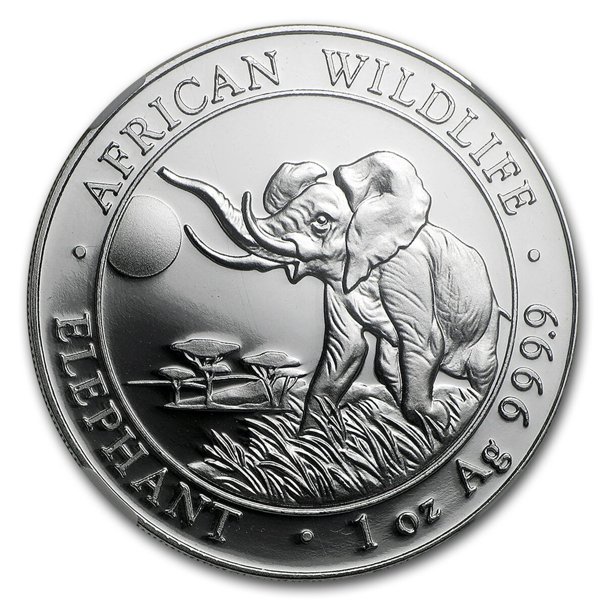 2016 Somalia 1 oz Silver African Elephant MS-70 NGC (ER)