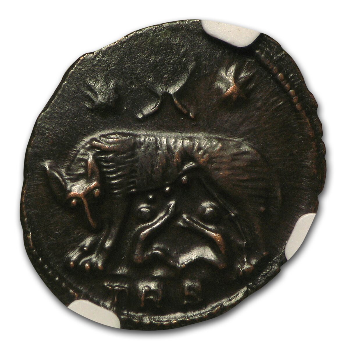 Roman Emp Constantinian AE3/4 Nummus (330-340 AD) CH XF NGC