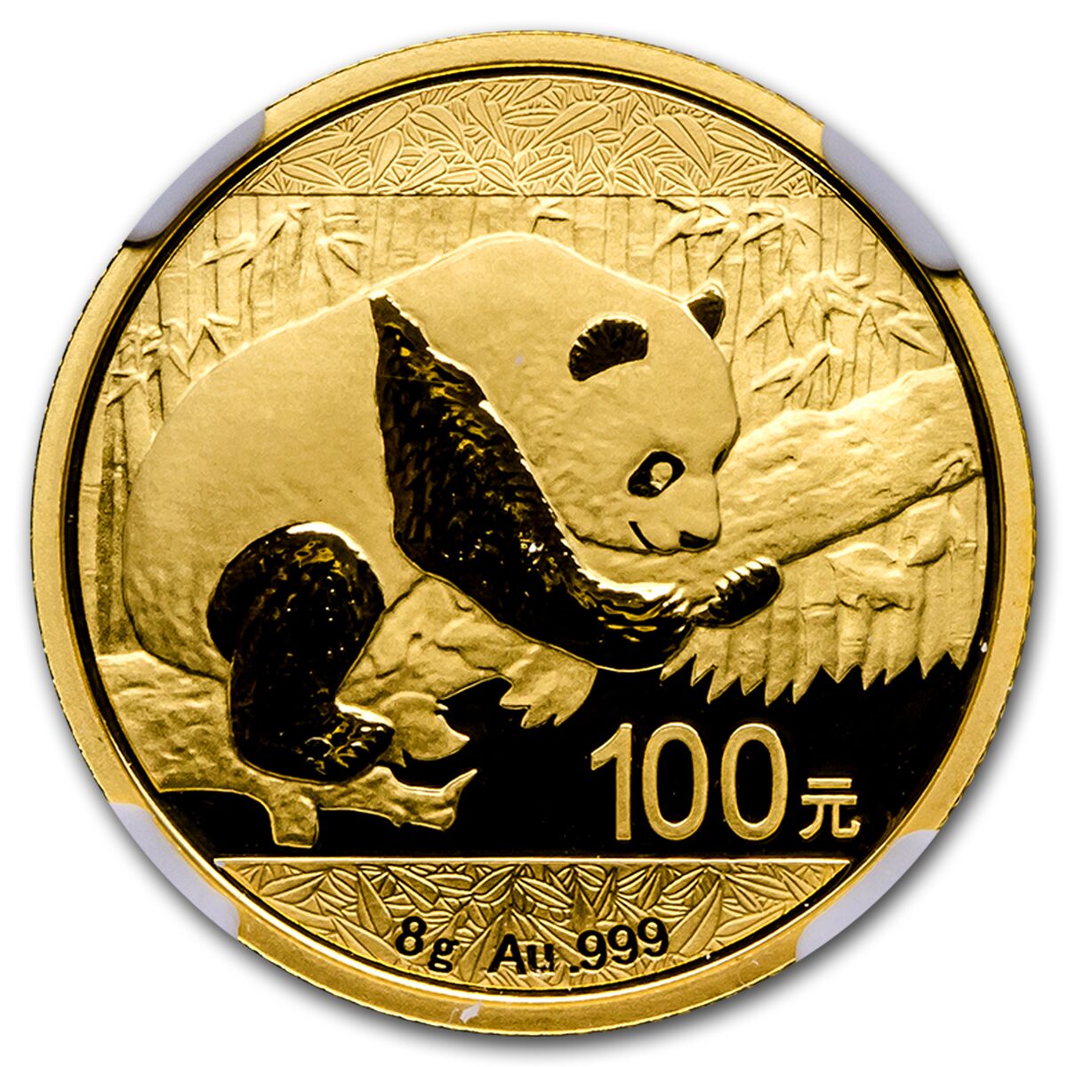 2016 China 8 Gram Gold Panda MS-70 NGC (Early Releases)