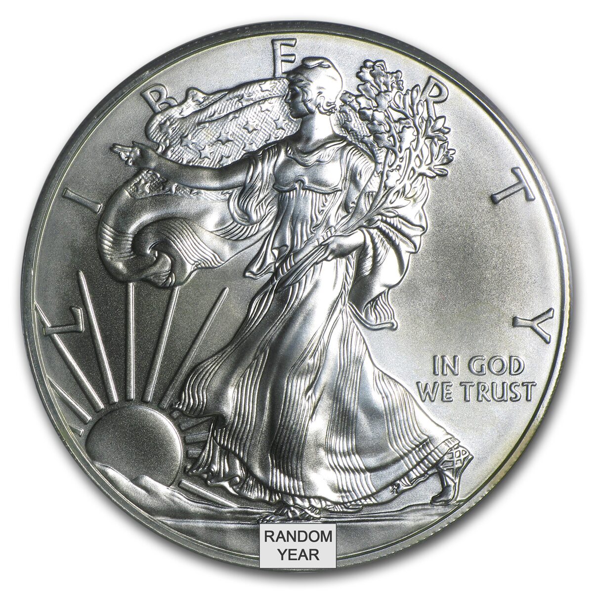 1986-Current Silver Eagle MS-70 NGC/PCGS (Random Year, Spotted)