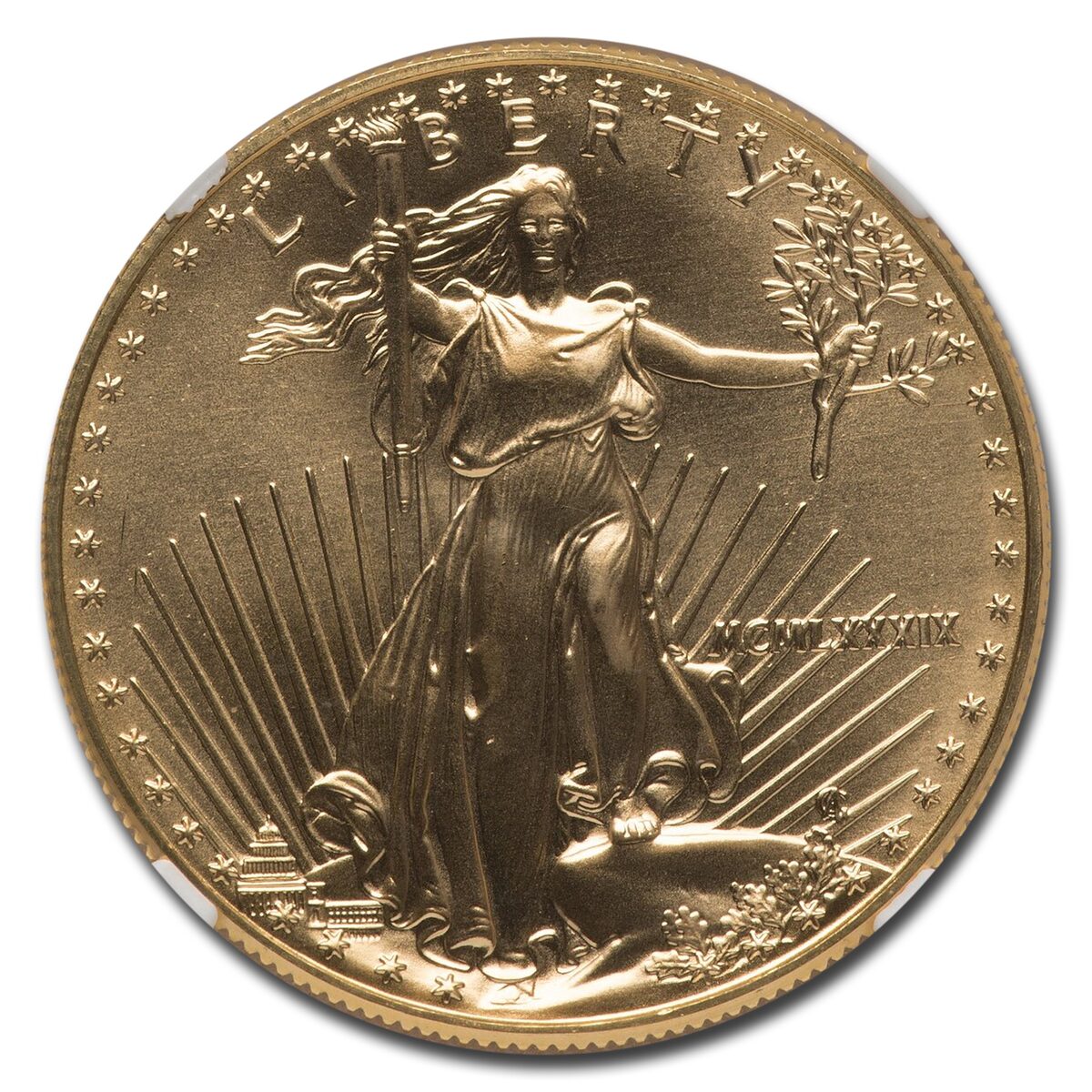 1989 1 oz American Gold Eagle MS-70 NGC